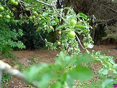 Garden Spy With Kiki Minaj
