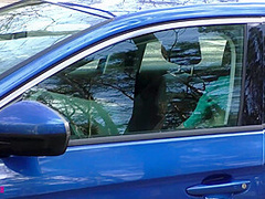 Zentai Cat On The Go - Watch4Fetish