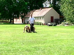 Power And Submission - (trauma #02)