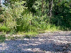 Babyybutt Gets Double Creampie And Facial In Public Outdoor Adventure, Hopefully No Strangers Are Watching!