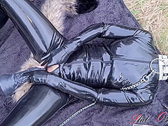 Dog Dog Training Outdoor