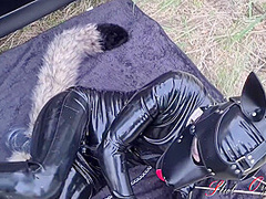 Dog Dog Training Outdoor