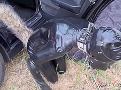 Dog Dog Training Outdoor