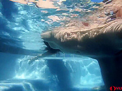 Underwater Creampie Iii