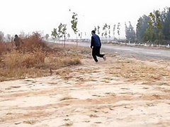 Captured On The Side Of The Road