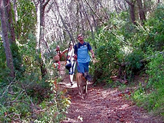 4k Hiking - Group Fucking - Squirting - Double Penetration