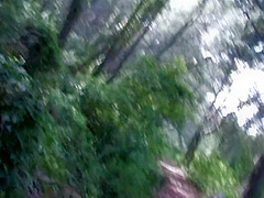 4k Hiking - Group Fucking - Squirting - Double Penetration