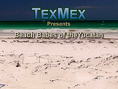 Beautiful Breasts At A Nudist Beach