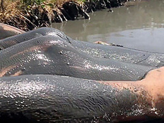 Sexy Girl Playing In The River Mud. Muddy Fun (fully Clothed)