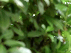 Sonya Blaze And Sonya B In Secret Garden