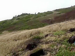 Aften Opal - Wants Your Cock Outdoors