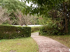 Mius Public Squirt-a-thon 1