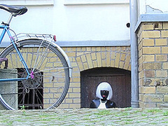 Visiting The Public - Watch4Fetish