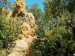 Alinas Acro-yoga Love Making 1 - Michae - Michael Vegas And L A B