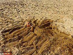 Flexible Games In The Sand - Watch4Fetish