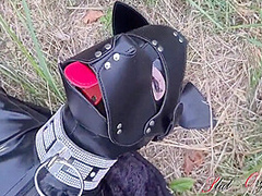 Dog Slut Orgasm, Celeste Receives Dog Training Outdoors