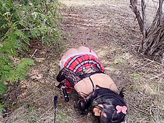 Shortest Cum Explosion With Voyeur Car Shots