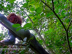 Acrobatics Hidden In The Forest - Watch4Fetish