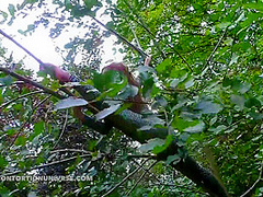 Acrobatics Hidden In The Forest - Watch4Fetish
