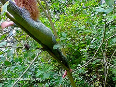 Acrobatics Hidden In The Forest - Watch4Fetish
