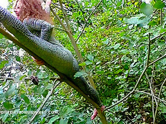 Acrobatics Hidden In The Forest - Watch4Fetish