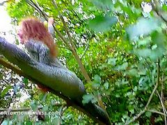 Acrobatics Hidden In The Forest - Watch4Fetish