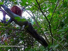 Acrobatics Hidden In The Forest - Watch4Fetish