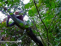 Acrobatics Hidden In The Forest - Watch4Fetish
