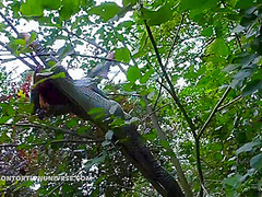 Acrobatics Hidden In The Forest - Watch4Fetish