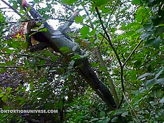 Acrobatics Hidden In The Forest - Watch4Fetish