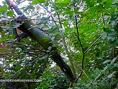 Acrobatics Hidden In The Forest - Watch4Fetish