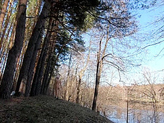 Girl Walking In The Spring Forest And Bridge