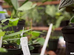 Kylie Rocket And Candy Lover - Growing Plants And Cocks