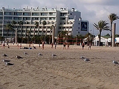 Public Flashing # Take Off Panties # Tanning Hairy Pussy At Sun Set Beach Among Peoples