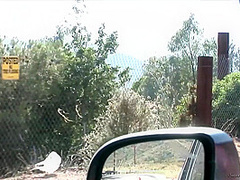 Lesbian Hitchhikers - Lexi Belle And Nicole Ray