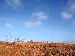 Melena In The Desert