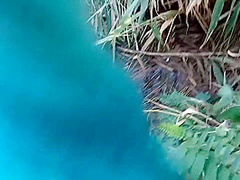 Moans Scared All The Fish Fishermen