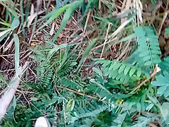 Moans Scared All The Fish Fishermen