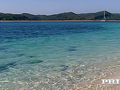 While Catches Some Rays On The Beach Shell B