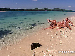 While Catches Some Rays On The Beach Shell B