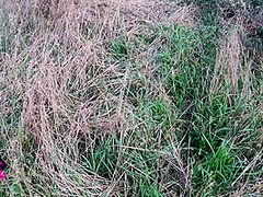 Hot Public Fuck In A Lookout Tower