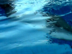 Private Pool Party - Sasha Blonde And Sasha Blonnde