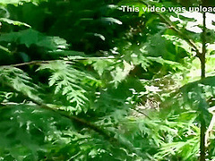 Screwing My Stepbrother In The Woods