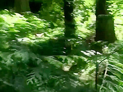 Screwing My Stepbrother In The Woods