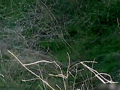 Frontier Fucking With Casi James