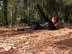 Forest Mummification