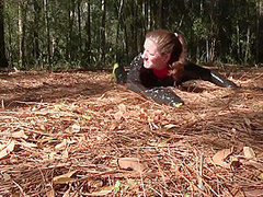 Forest Mummification