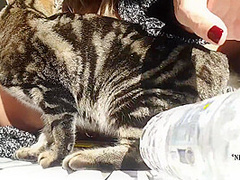 Nippleringlover Pierced Pussy Fucking Bottle Outdoors - Stretched Nipple Piercings Huge Nipple Rings