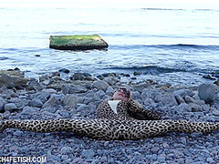 Beach Feeling In Zentai - Watch4Fetish