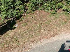 A Trip To The Lake - Watch4Fetish